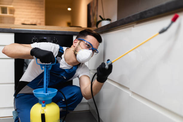 Flea Control Services in Bakerstown, PA
