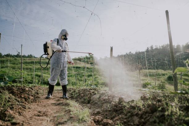 Best Termite Control Services  in Bakerstown, PA