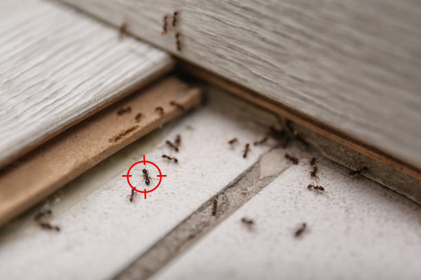 Best Pest Prevention Services  in Bakerstown, PA