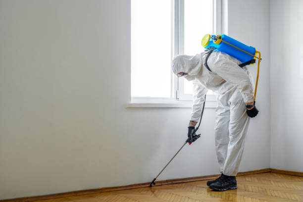 Best Exterminator Services  in Bakerstown, PA