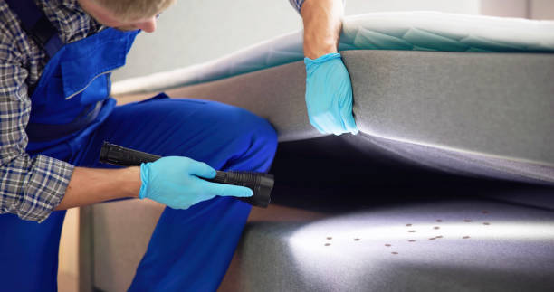 Best Pest Control Near Me  in Bakerstown, PA