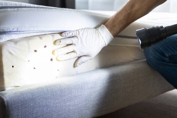 Best Pest Inspection Near Me  in Bakerstown, PA